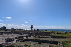 PXL_20250206_112733899